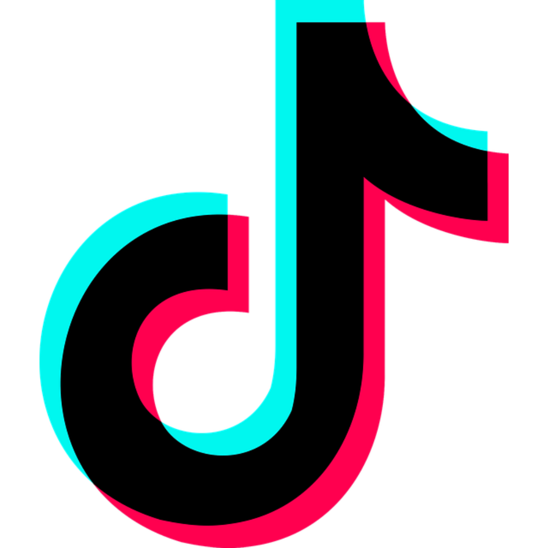 Icona tiktok